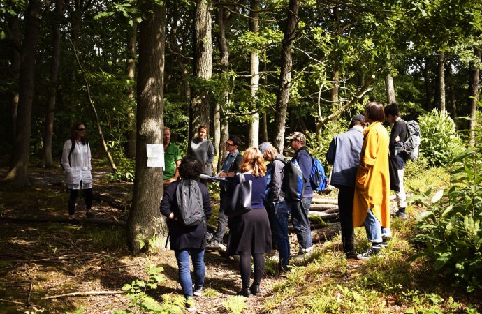 Adam Chodzko, Ash Walks, 2018. Photo: Rosie Lonsdale