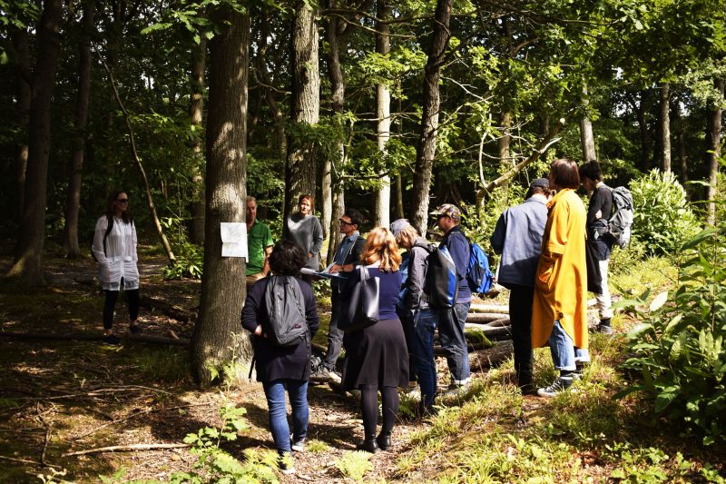 Adam Chodzko, Ash Walks, 2018. Photo: Rosie Lonsdale