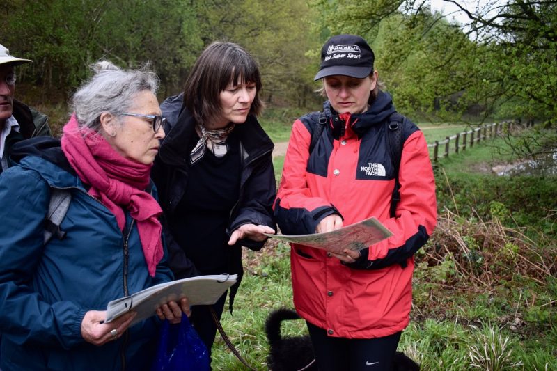 Hannah Lees, Ash Walk, 2018. Photo: Rosie Lonsdale
