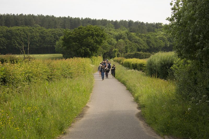 Walking Reading Group, Ash Walk, 2018. Photo: Rosie Lonsdale