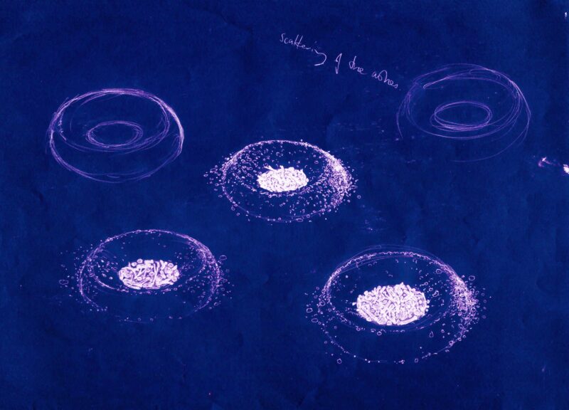 Andrew Merritt, Intertidal Allotment, 2025. Illustration of 'Shingle Rings' courtesy of the artist.