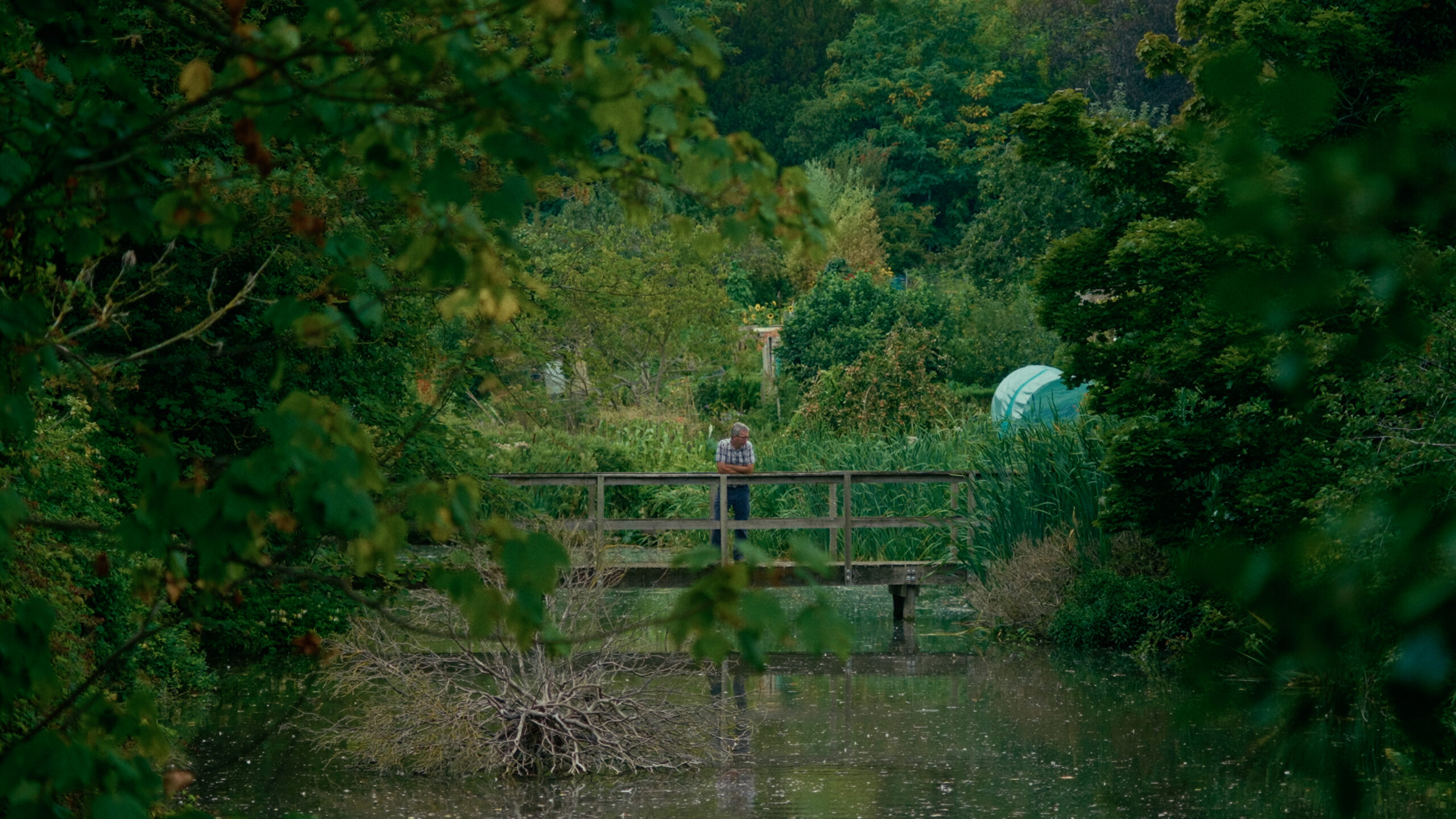 The Eel’s Tale: Creek Walk with Matthew Hatchwell